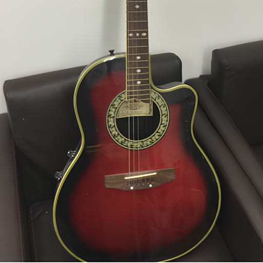 プロマーティン エレアコ ギター EA350