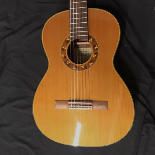 タカミネ TGL1-3 クラシックギター ガットギター ナチュラル 弦楽器 ハードケース付 TAKAMINE