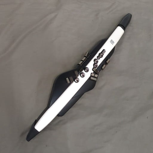 ローランド AE-20 エアロフォン デジタル管楽器